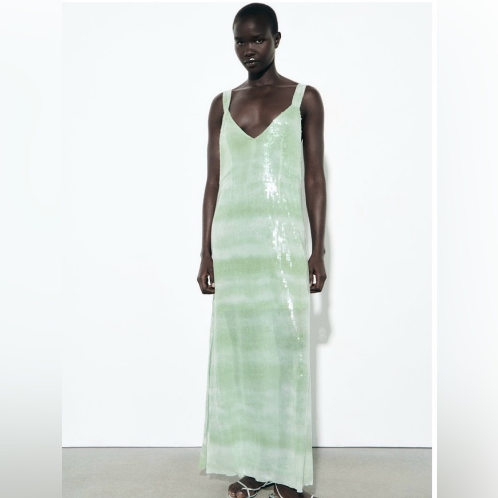 Zara Sequin Dress